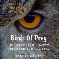 Birds of Prey | The Spice Merchant | Fleet