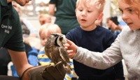 Animal Handling | Guildford One world Animals - Family event in Fairlands Community Centre, Fairlands Ave, Fairlands, Guildford GU3 3NA
