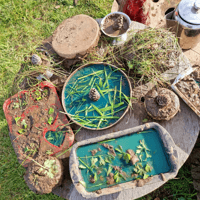 Preschool Forest camp | Hartley Wintney The Forest Approach Limited - Family event