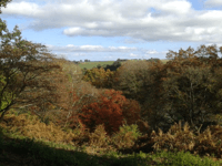 Summer of Play | Winkworth Arboretum