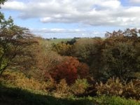 Pom Pom Keyring crafts | Winkworth Arboretum - Family event