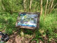 Conservation Volunteers | Zebon Copse