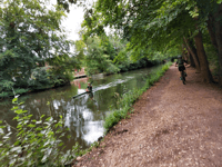 Parks, canal and playground Frimley Lodge park