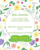 Newborn to 6 months Baby Sensory Fleet