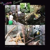 The Living Rainforest