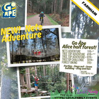 Tree Top Adventure Junior GO APE for 4yr+ - Farnham