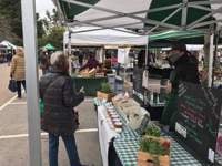 Farnham farmers Market