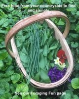 FREE: Foraging Fun - Ash (A donation would be welcome)