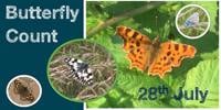 Wellesley Woodlands Butterfly Count