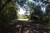Southwood country park Volunteer Rangers for 14yrs+