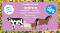 HEATH WEEK HERBIVORES -  Whitmoor Common