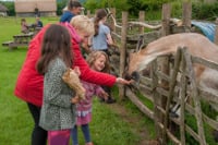 Bronze age Halfterm activities - Butsers ancient farm - south downs