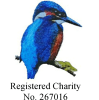 Rowhill Nature reserve