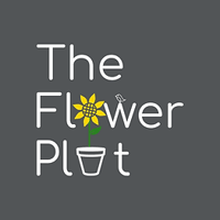 The Flower pot