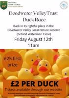 Deadwater Valley Trust Duck Race - Bordon Deadwater Valley Trust Duck Race - Bordon