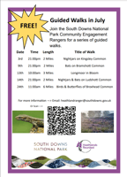 Free Guided walk - birds and butterflys of Broxhead common Free Guided walk - birds and butterflys of Broxhead common