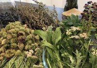 Heritage Open Days - Discover England’s Lost Spices - Winchester Heritage Open Days - Discover England’s Lost Spices - Winchester