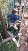 GO APE Tree Top Junior 4yr+ (1m+) GO APE Tree Top Junior 4yr+ (1m+)