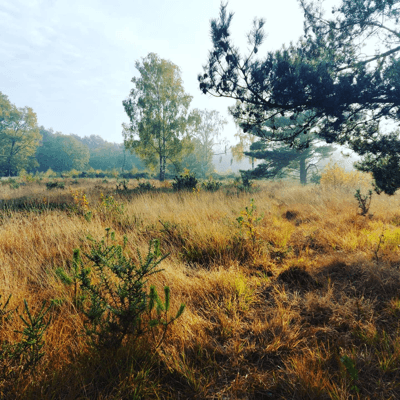 All Outdoors Activities - Local Family Events All Outdoors Activities