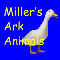 Miller's ark farm - Family venue in Manor Farm, Blackstocks Lane, Hook, RG27 9PH Miller's ark farm