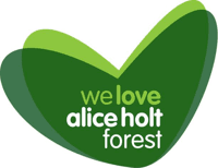 Alice Holt Forest