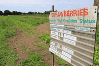 Grays Farm - Family venue in HEATHLANDS ROAD, WOKINGHAM, BERKSHIRE. RG40 3AN Grays Farm