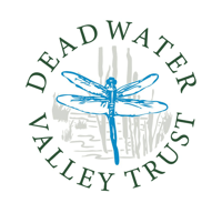 Deadwater Valley - Family venue in Deadwater Valley Local Nature Reserve, Barbados House, Station Rd, Bordon GU35 0LR Deadwater Valley